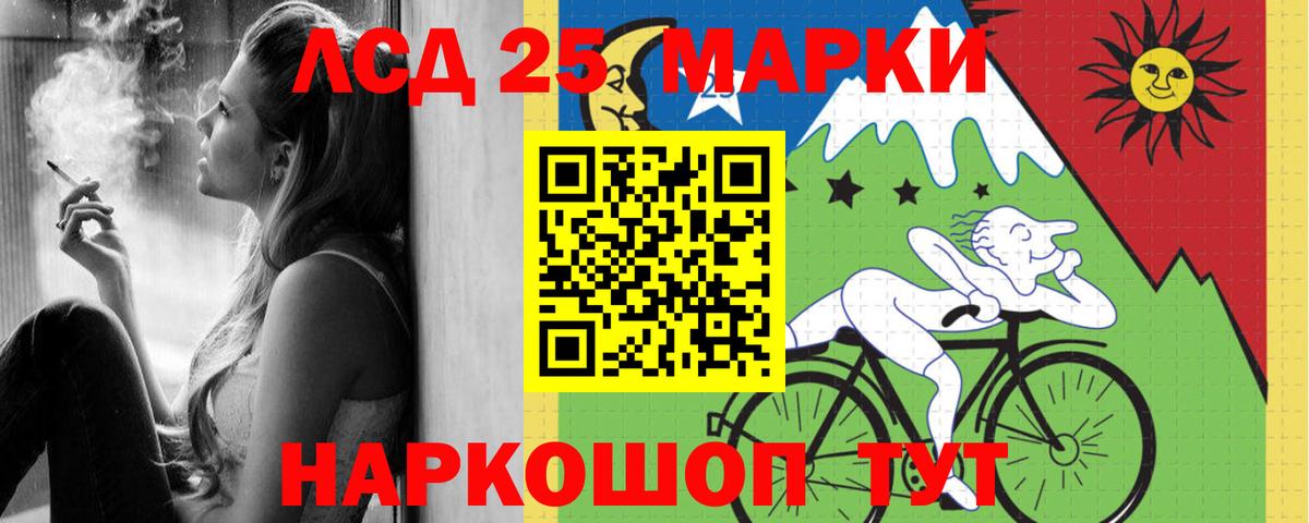 МЕФ Донской